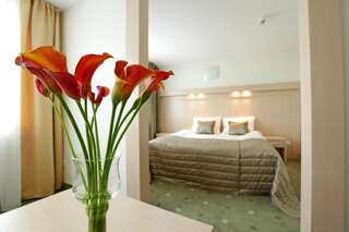 Отель Hotel Cieplice Еленя-Гура Двухместный номер «Комфорт» с 1 кроватью или 2 отдельными кроватями-2