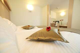 Отель Hotel Cieplice Еленя-Гура Двухместный номер «Комфорт» с 1 кроватью или 2 отдельными кроватями-9