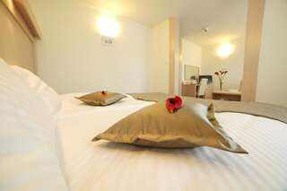 Отель Hotel Cieplice Еленя-Гура Двухместный номер «Комфорт» с 1 кроватью или 2 отдельными кроватями-5